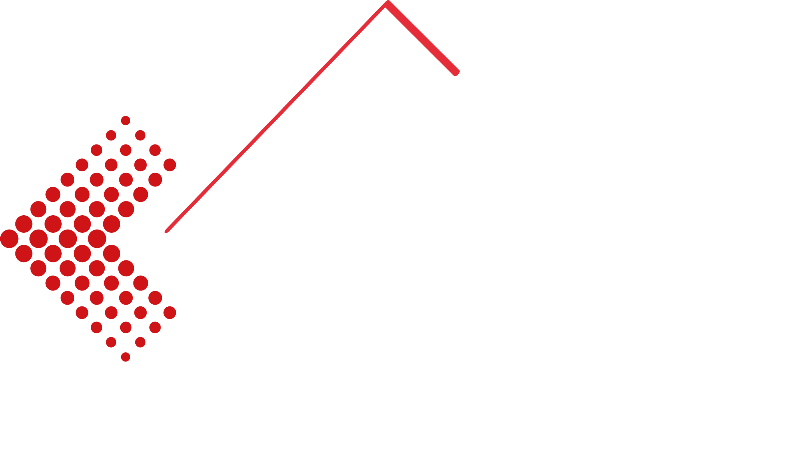 Rapid